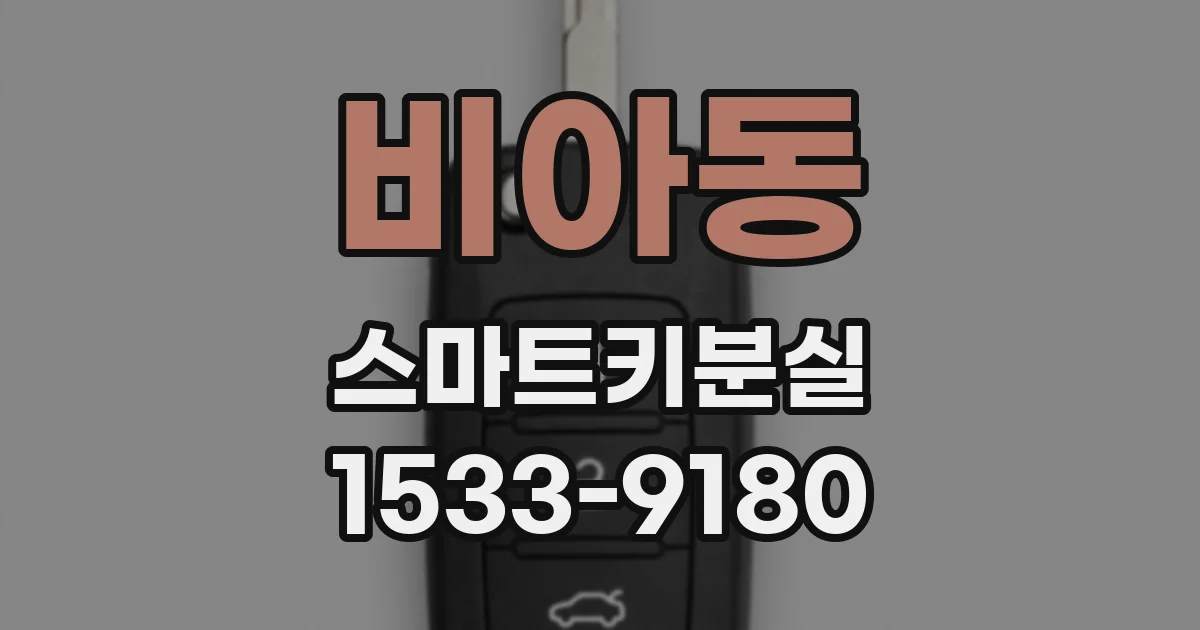 비아동 스마트키분실