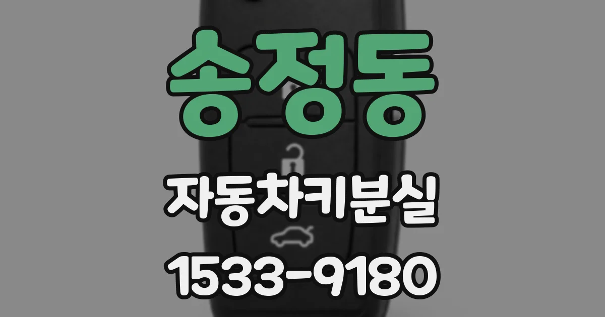 송정동 자동차키분실