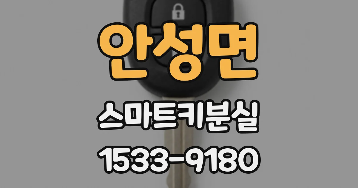 안성면 스마트키분실