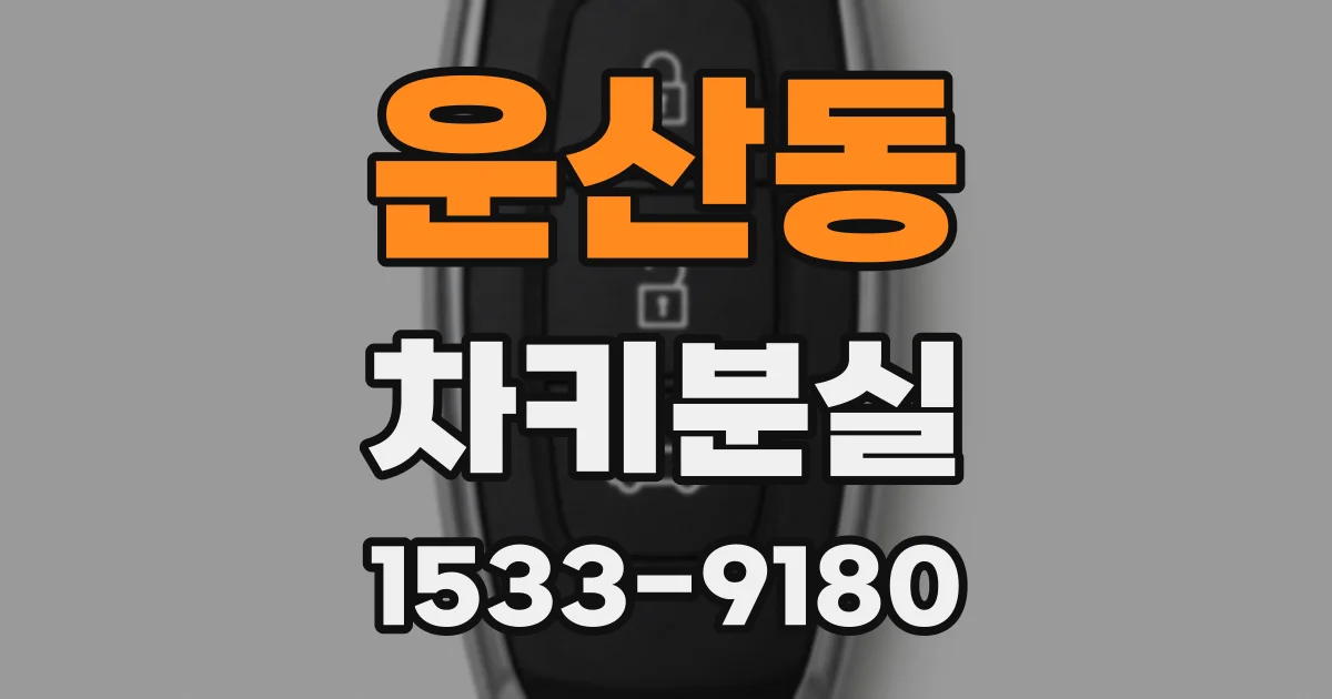 운산동 차키분실