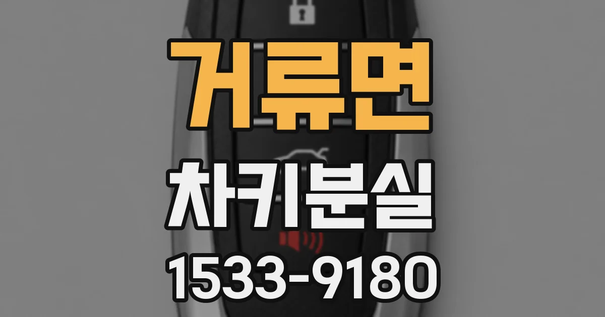 거류면 차키분실