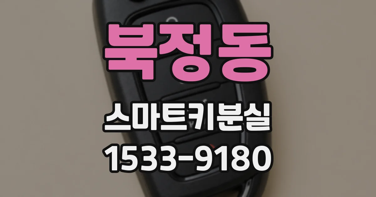 북정동 스마트키분실