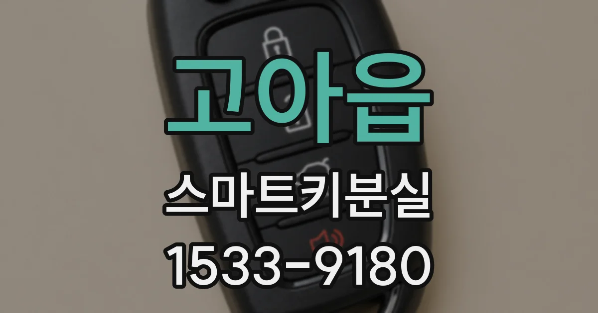 고아읍 스마트키분실