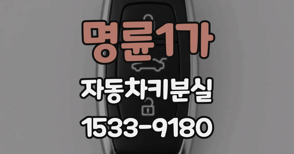 명륜1가 자동차키분실
