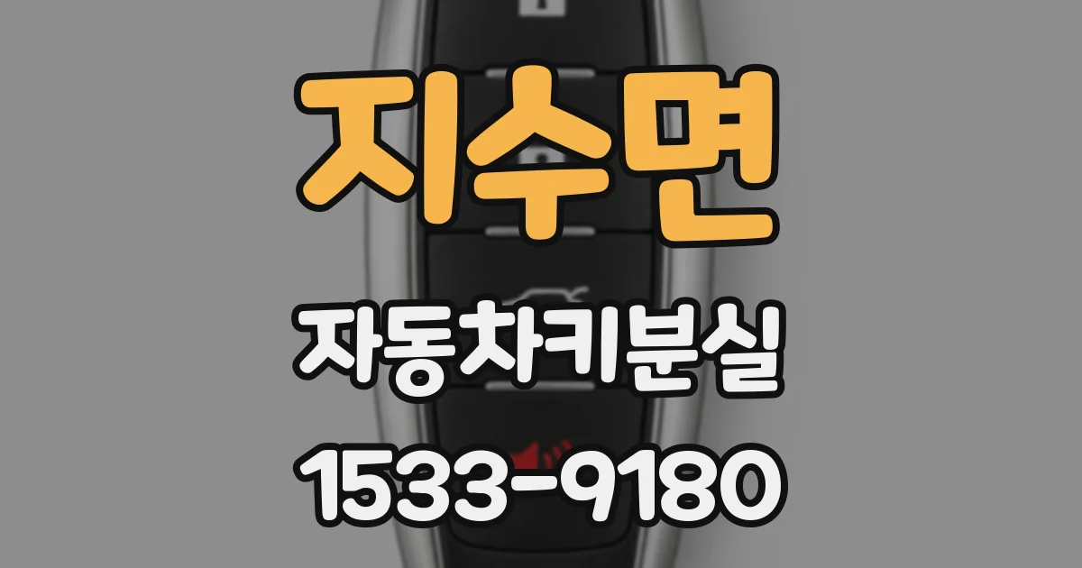 지수면 자동차키분실