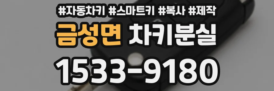 금성면 차키분실