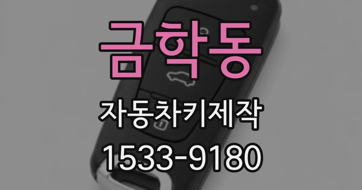 금학동 자동차키제작