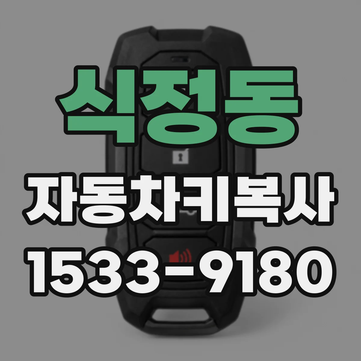 식정동 자동차키복사