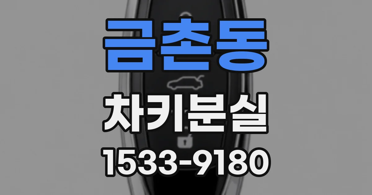 금촌동 차키분실