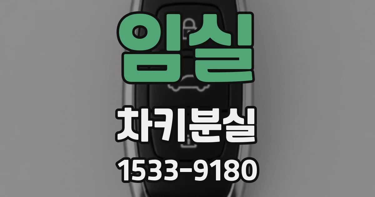 임실 차키분실