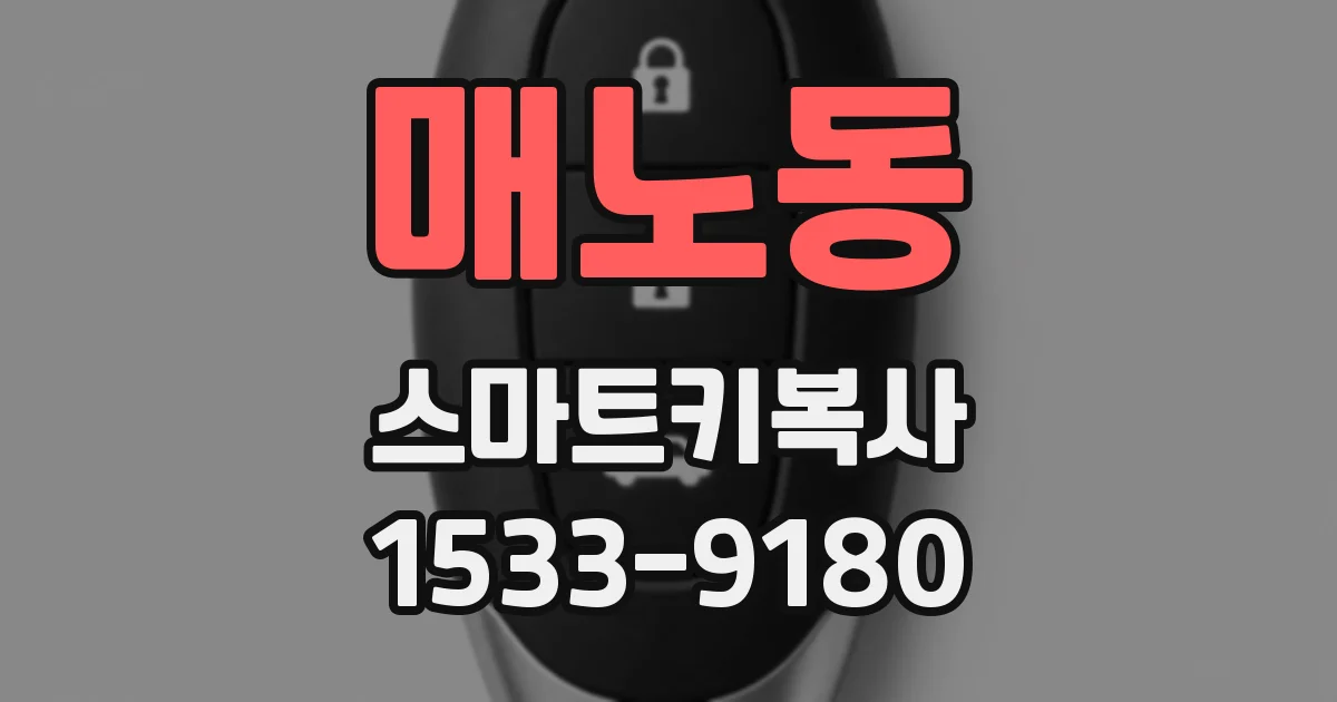 매노동 스마트키복사