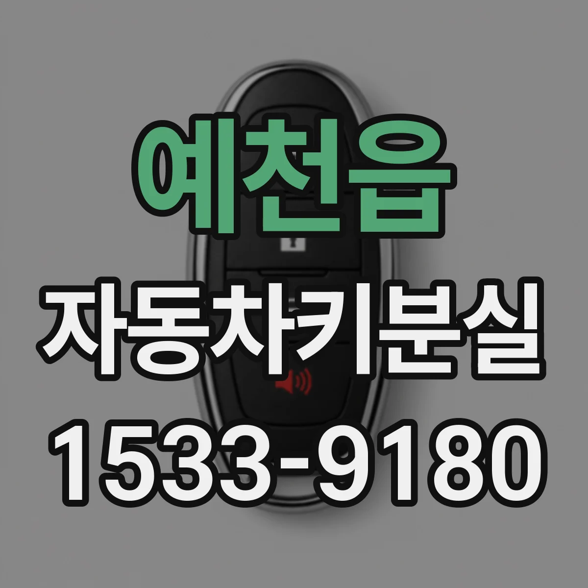 예천읍 자동차키분실