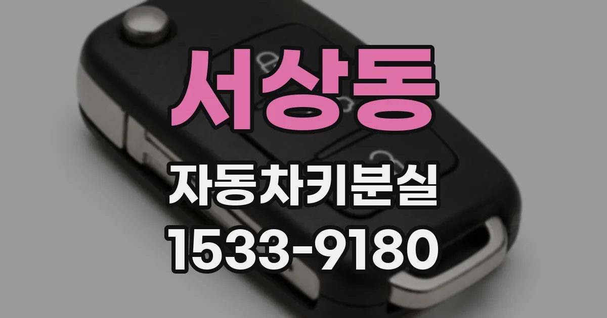 서상동 자동차키분실