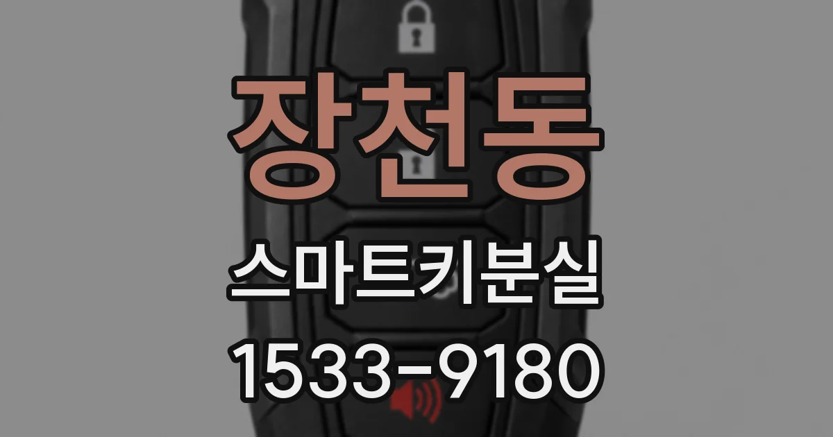 장천동 스마트키분실