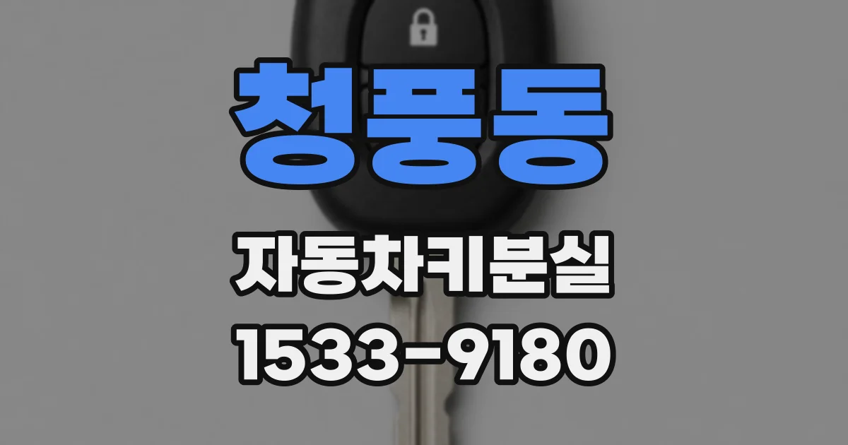 청풍동 자동차키분실