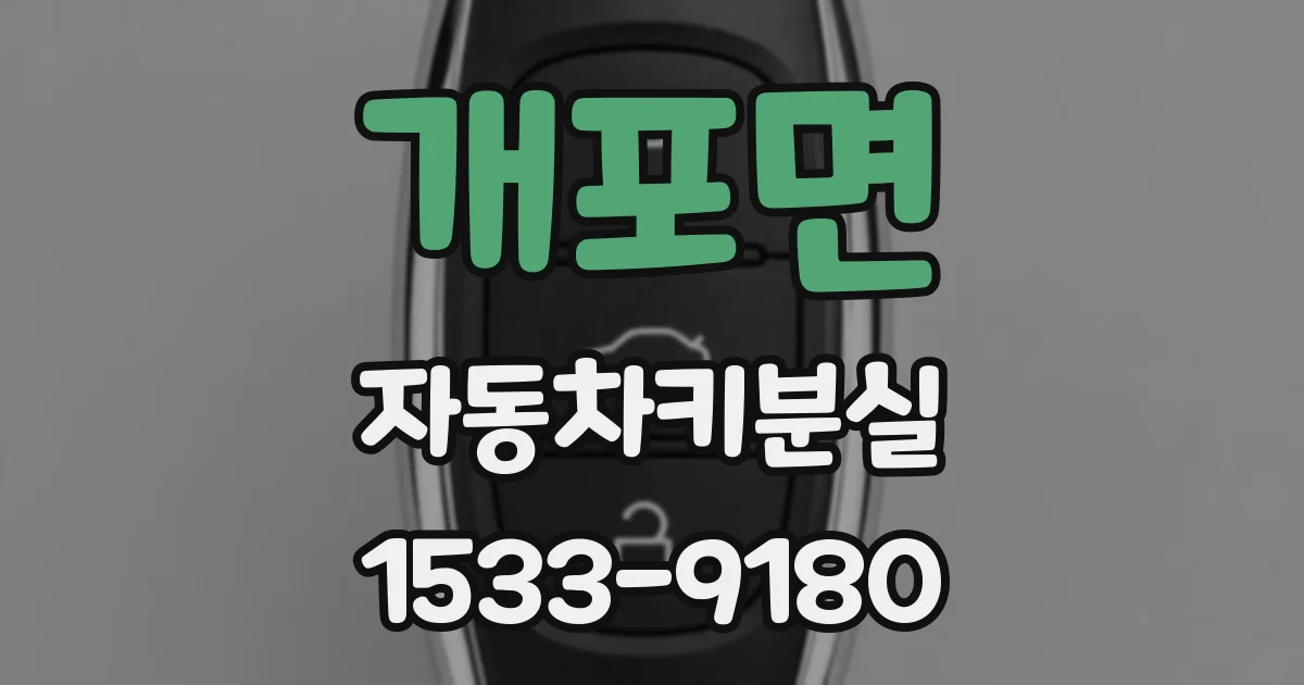 개포면 자동차키분실