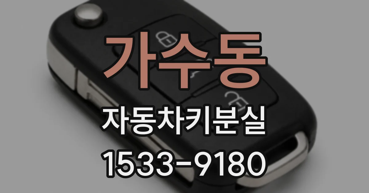 가수동 자동차키분실