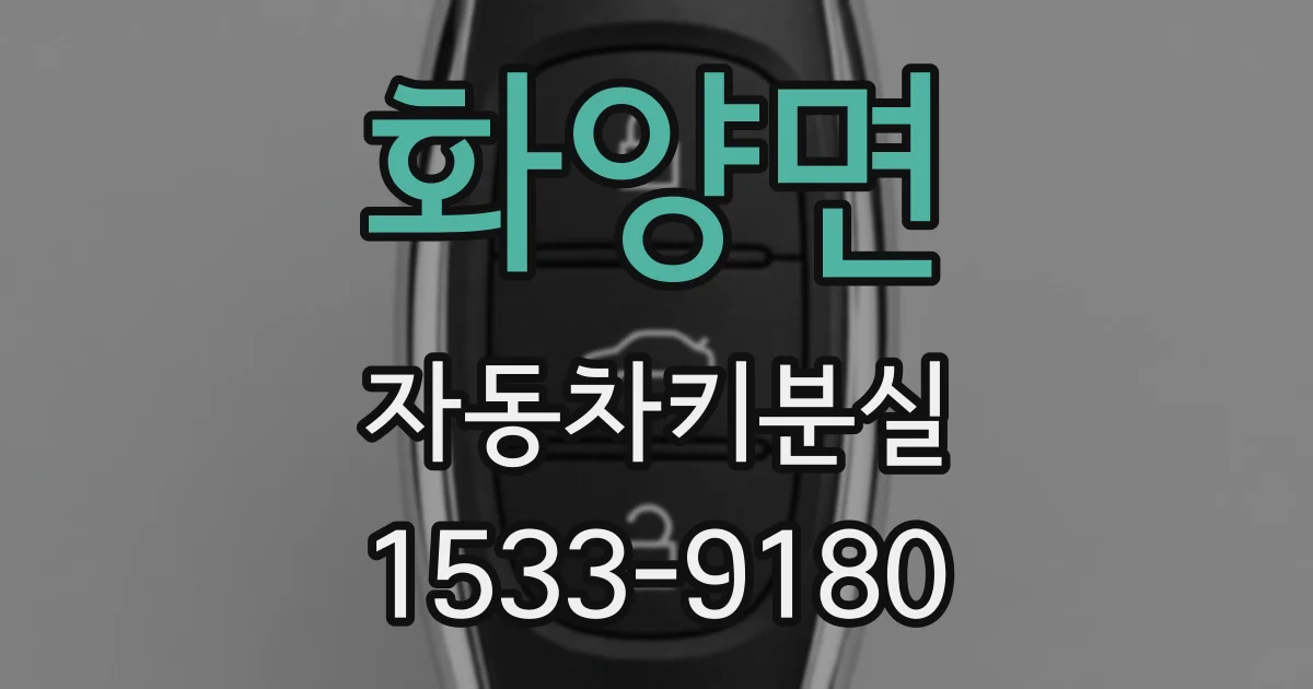 화양면 자동차키분실