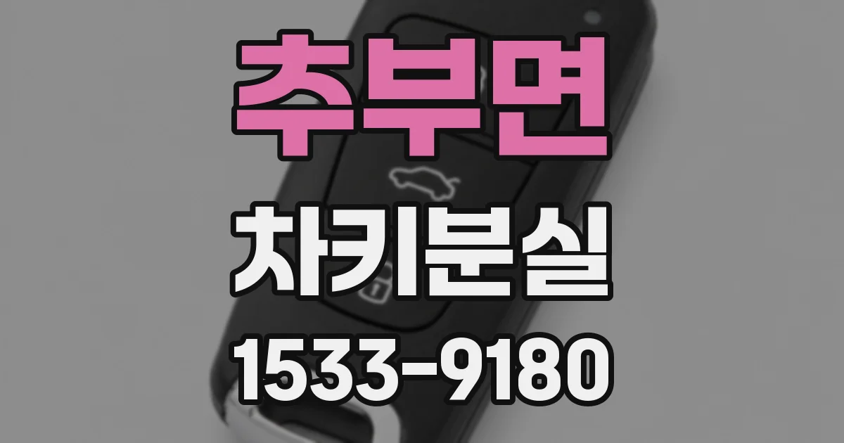 추부면 차키분실