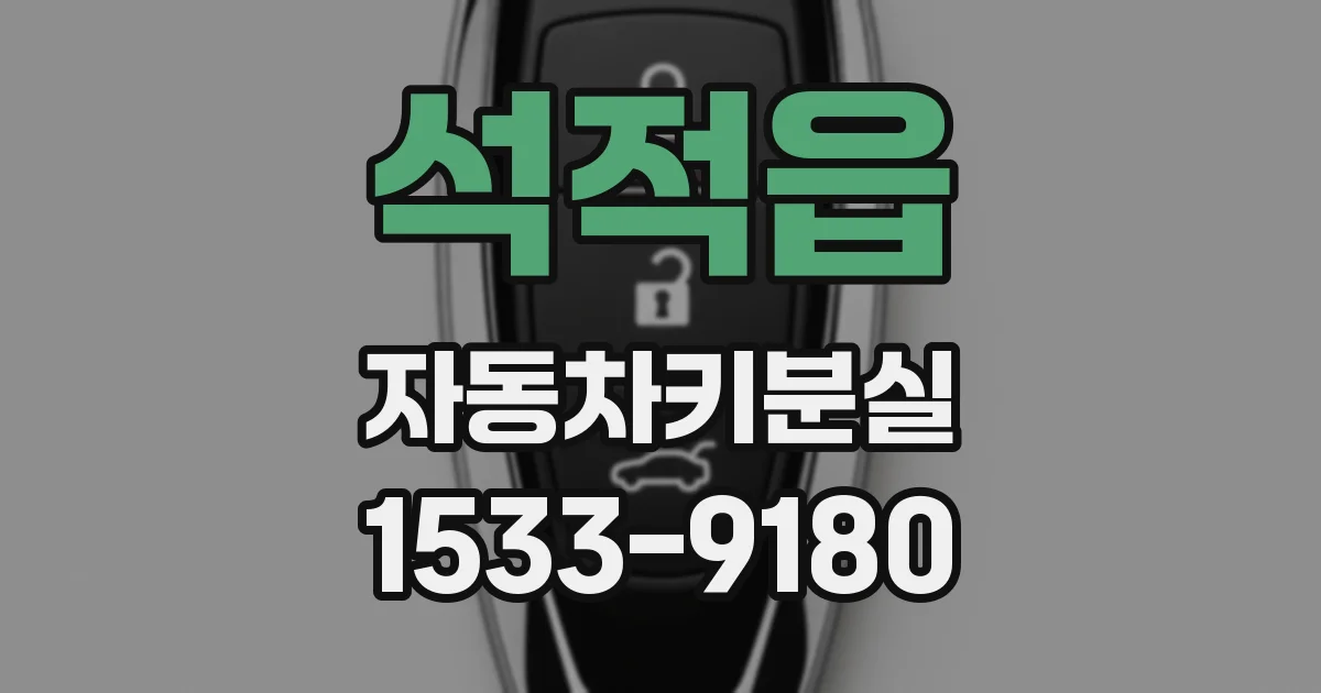석적읍 자동차키분실