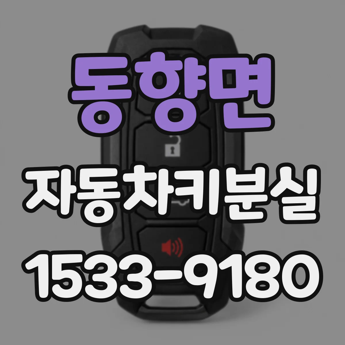 동향면 자동차키분실