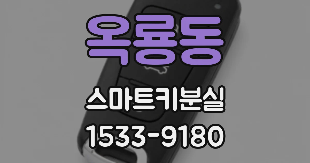 옥룡동 스마트키분실