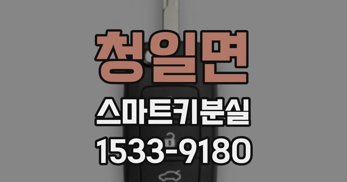 청일면 스마트키분실
