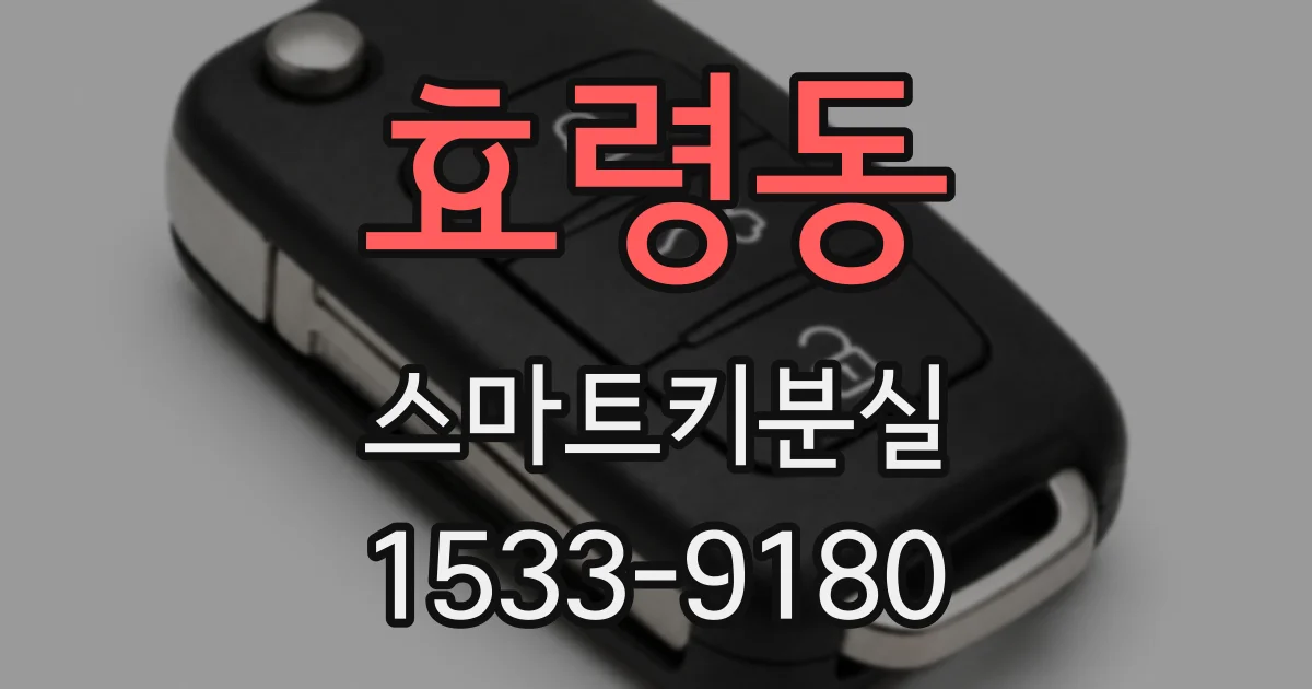 효령동 스마트키분실