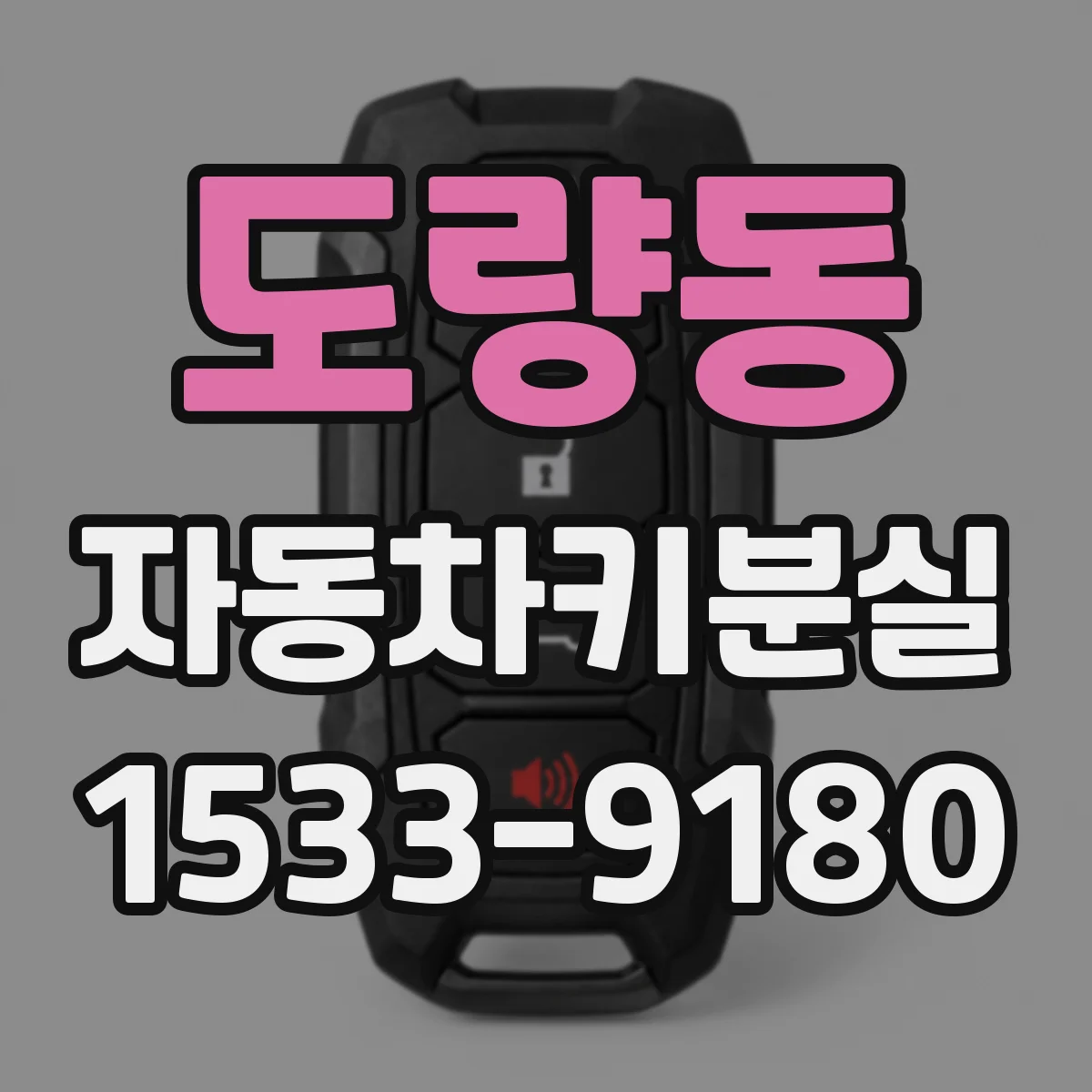 도량동 자동차키분실