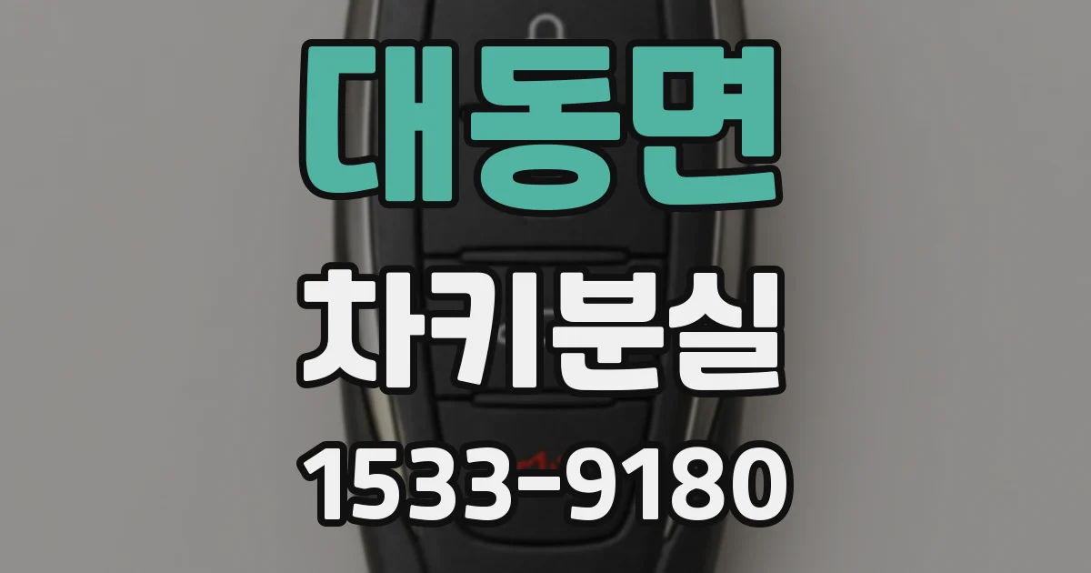 대동면 차키분실