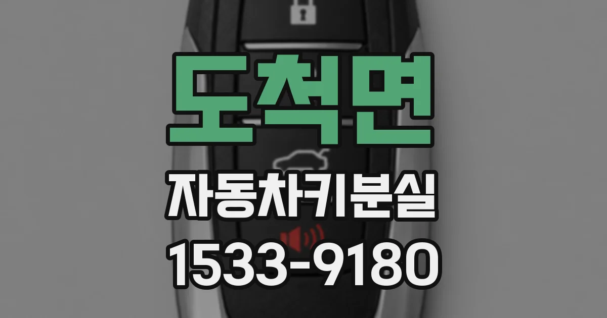 도척면 자동차키분실