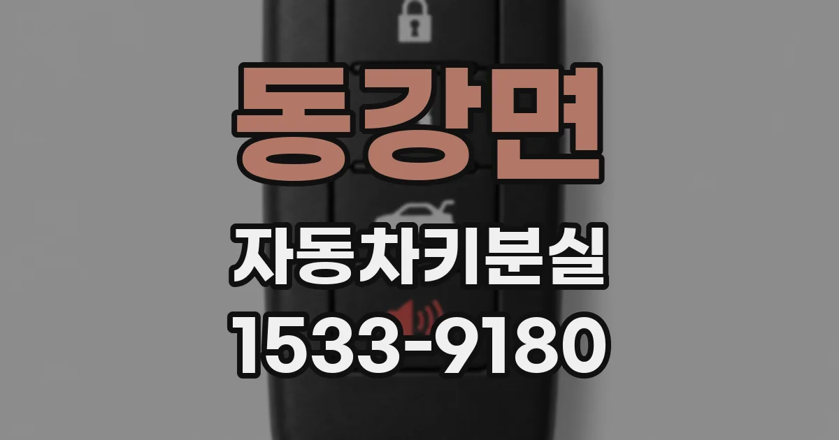 동강면 자동차키분실