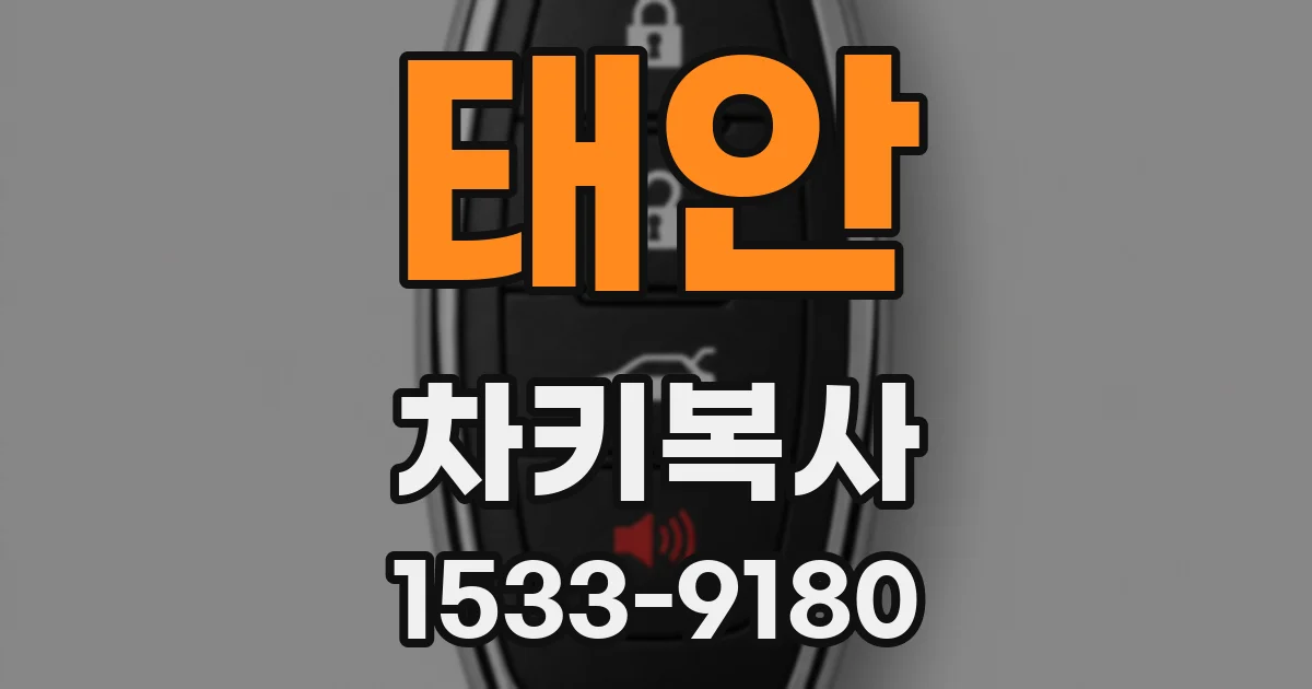 태안 차키복사