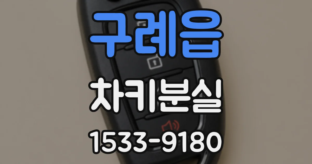 구례읍 차키분실