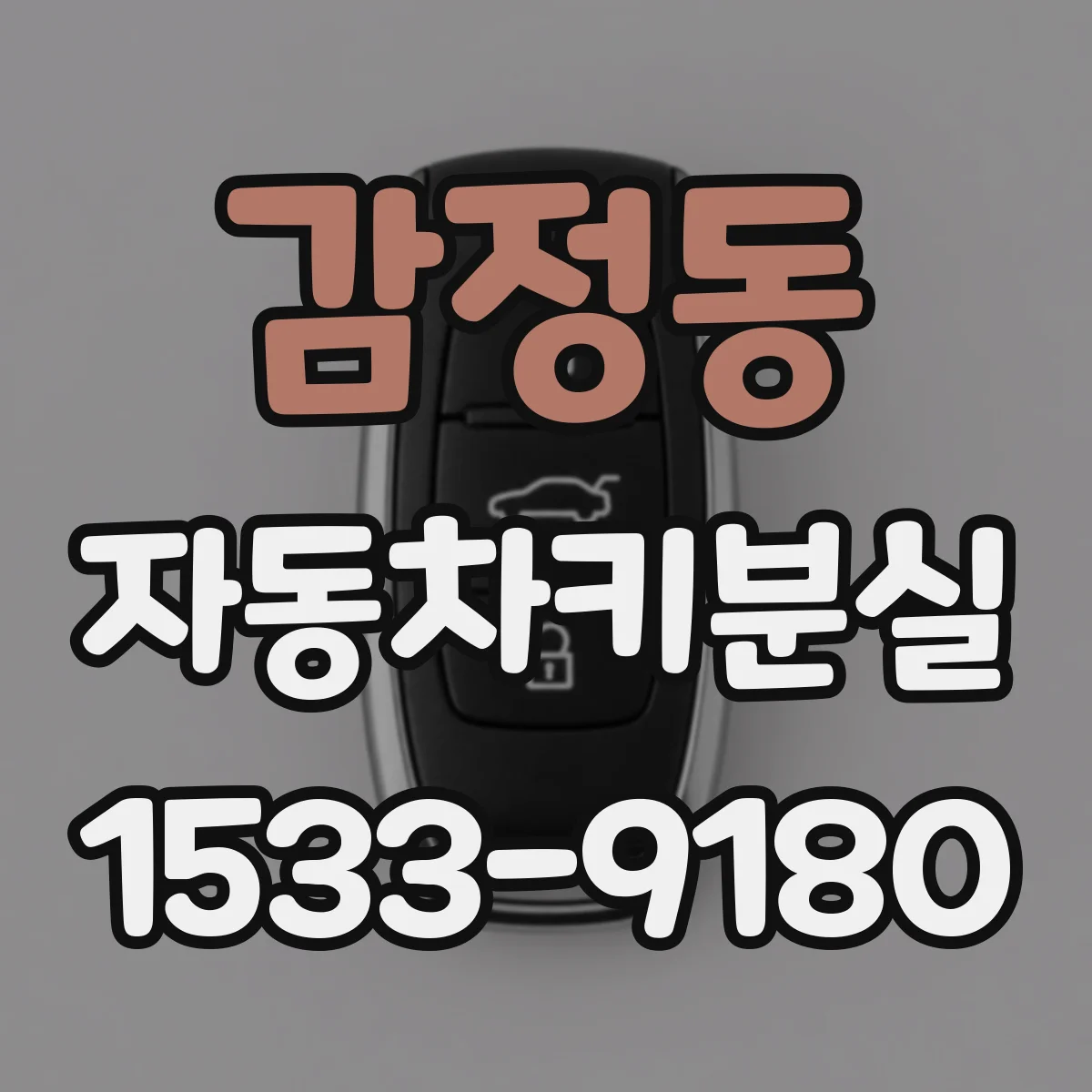 감정동 자동차키분실