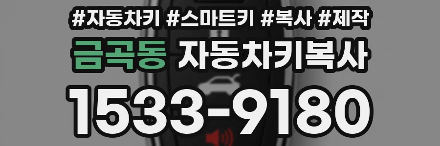 금곡동 자동차키복사
