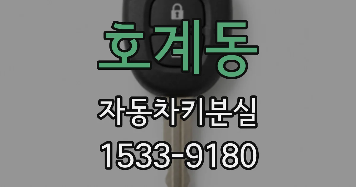 호계동 자동차키분실