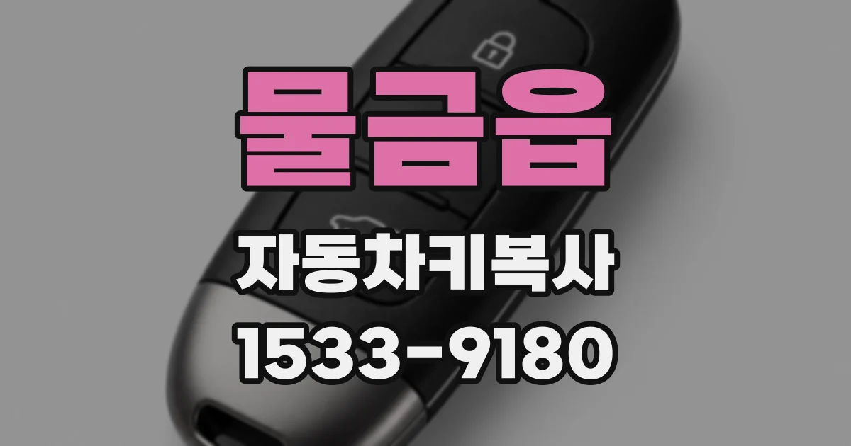 물금읍 자동차키복사