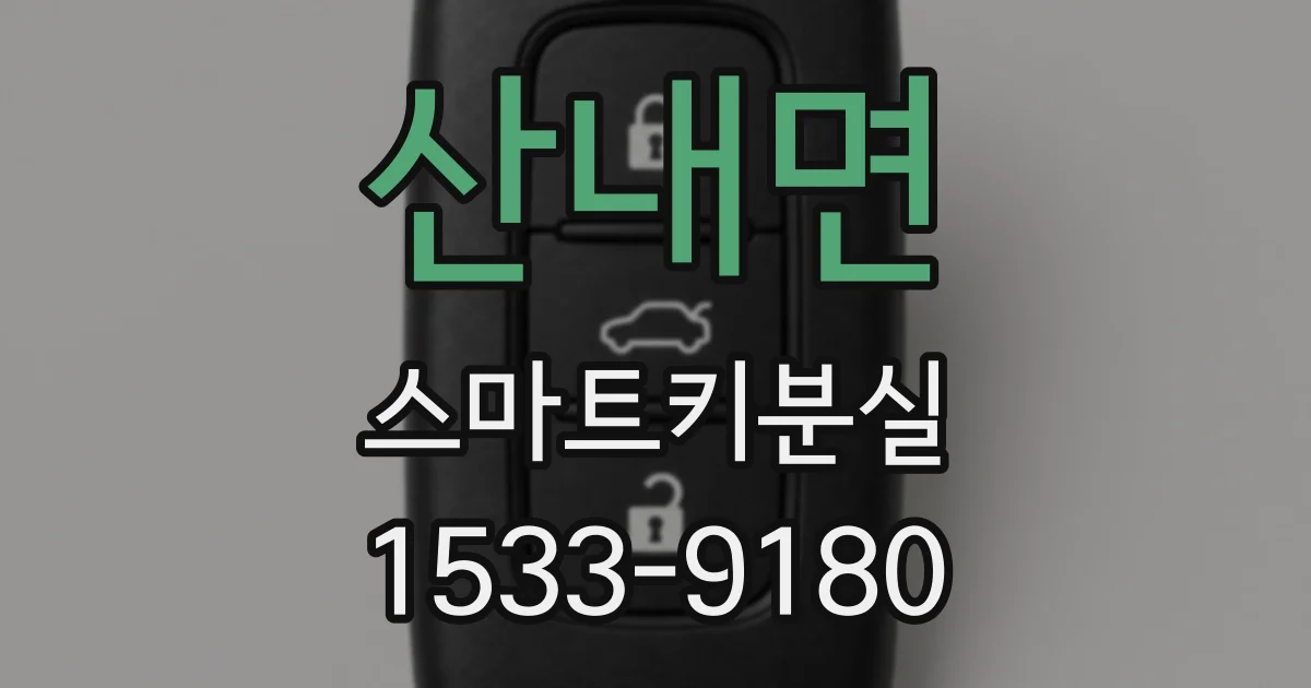 산내면 스마트키분실