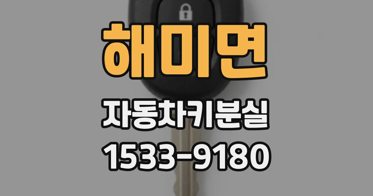 해미면 자동차키분실