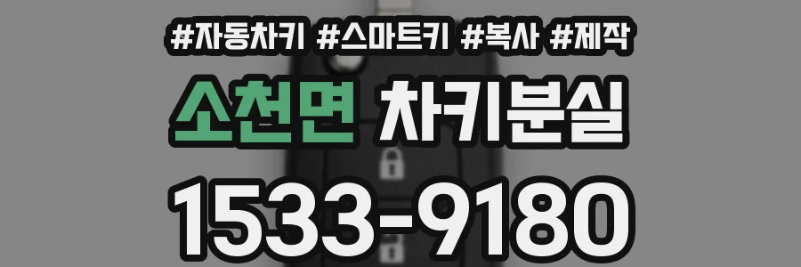 소천면 차키분실