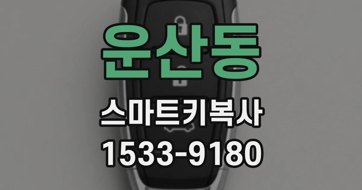 운산동 스마트키복사