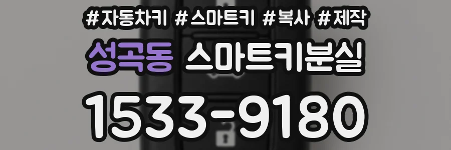 성곡동 스마트키분실