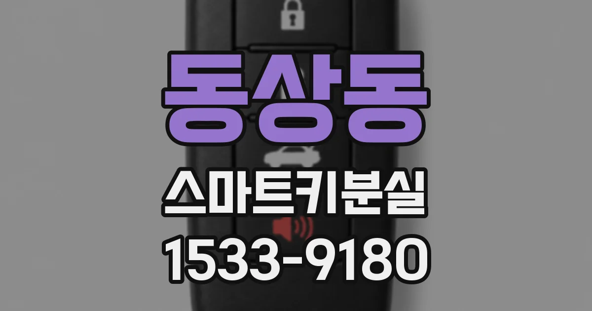 동상동 스마트키분실