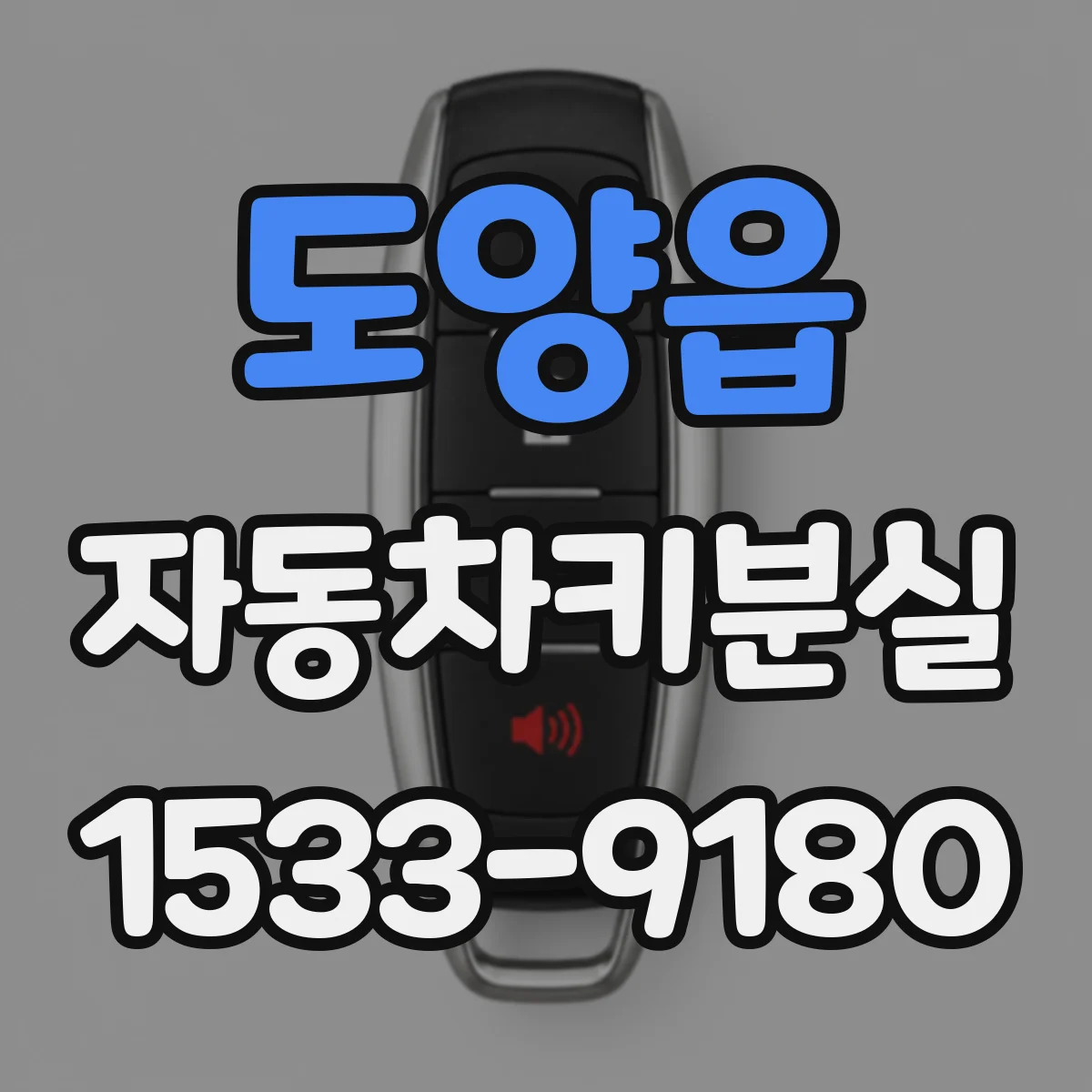 도양읍 자동차키분실