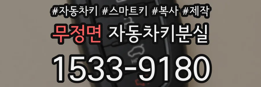 무정면 자동차키분실