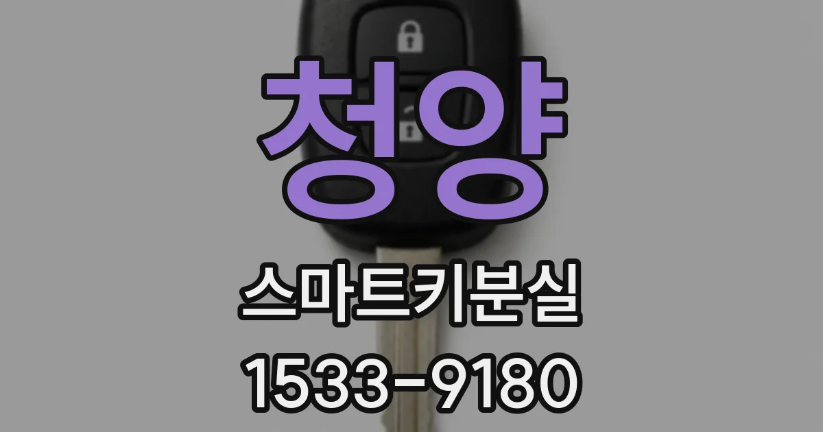 청양 스마트키분실