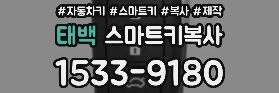 태백 스마트키복사