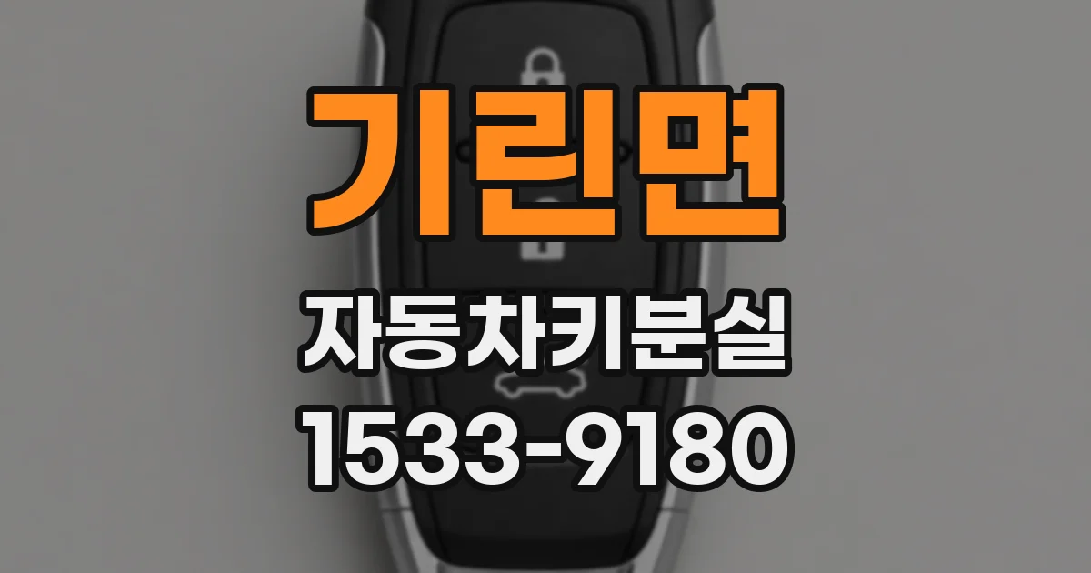 기린면 자동차키분실
