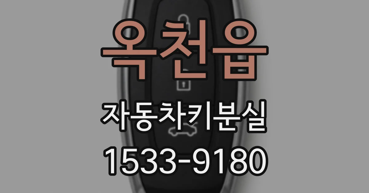 옥천읍 자동차키분실